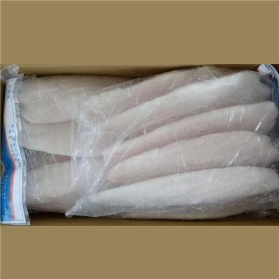 福州進口巴基斯坦水產品代理報關