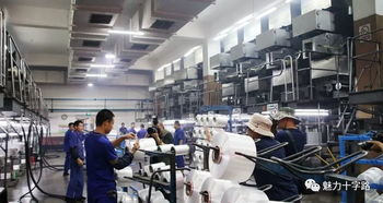 鏡頭記錄變遷，筆墨書(shū)寫(xiě)新篇——十字路街道舉辦攝影與文學(xué)創(chuàng)作采風(fēng)活動(dòng)